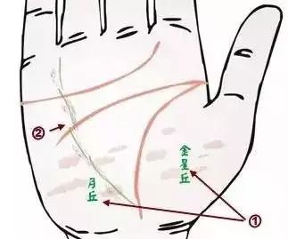 中医24种手诊图(值得参考)