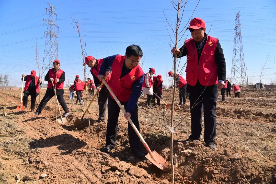 种果树有补贴啦!肥乡植树节种下"致富果"!