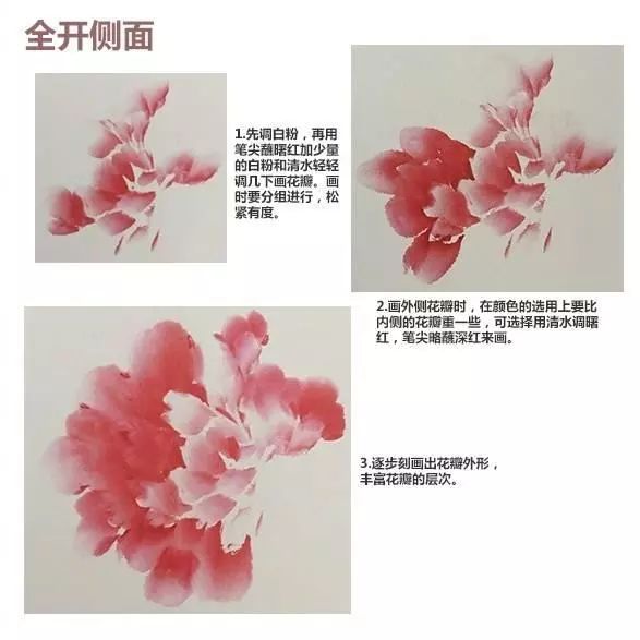 国画入门:国画牡丹,花头不同开放时期的画法