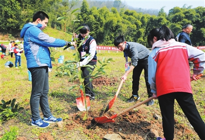 中学生志愿者在义务植树