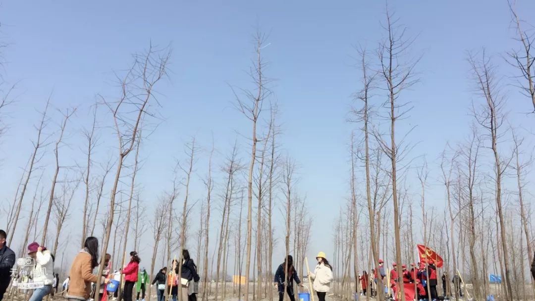 市级机关义务植树活动在广陵区头桥镇九圣村三江营省级湿地公园举行