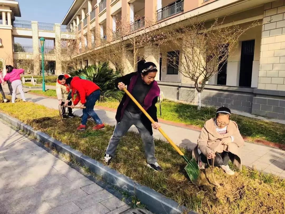 桐乡市实验小学教育集团春晖小学