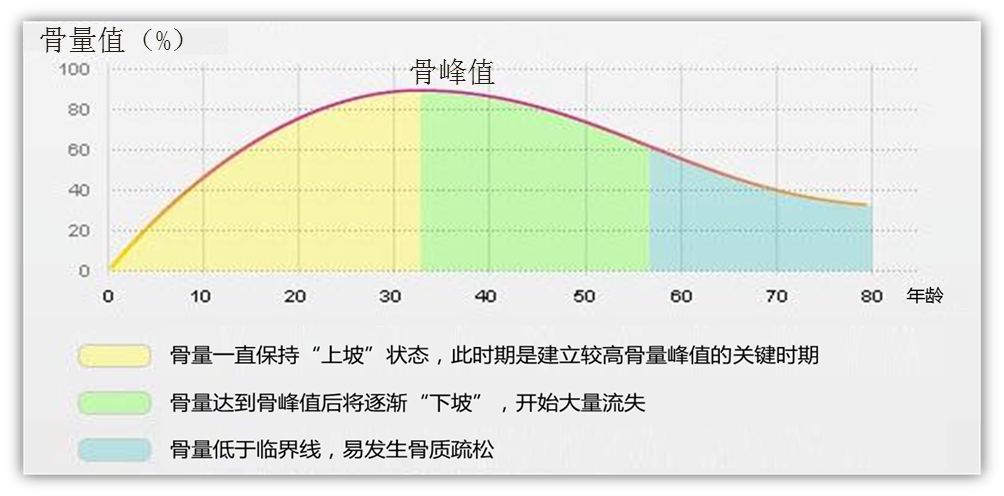 峰值骨量水平越高的人群,越不容易患骨质疏松