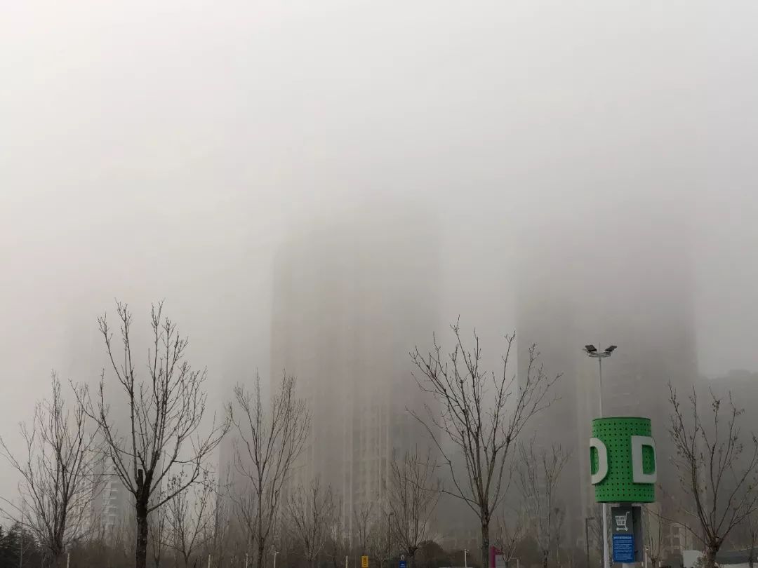 像雾像雨又像风!这不是歌名是烟台天气!雨夹雪 0℃要来,更可怕的是