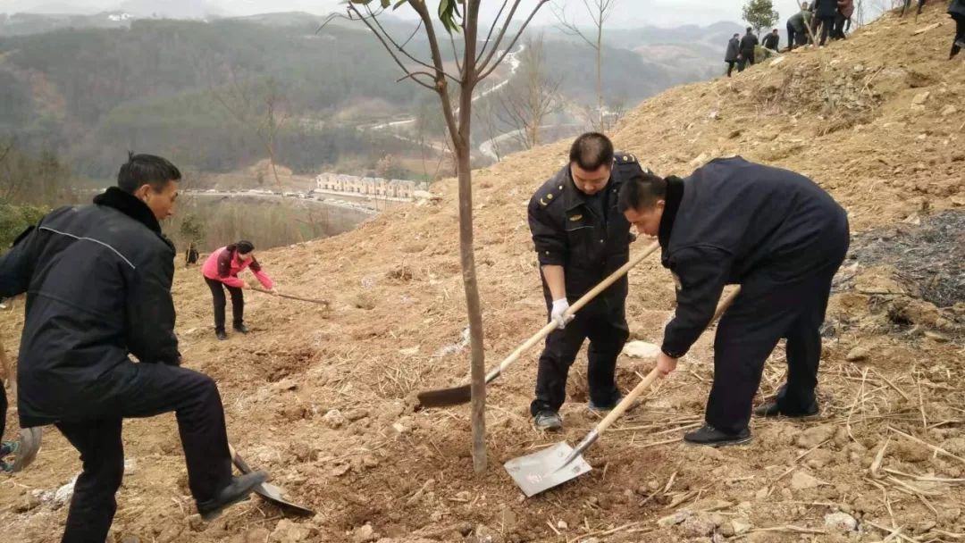 县城关中学好山好水 大美竹溪民众造林绣山川—植树节感怀颜家海全