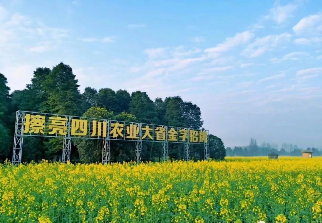 "2019首届都江堰七里诗乡田园绿道赏花节"即将开幕,赶紧来柳街踏青