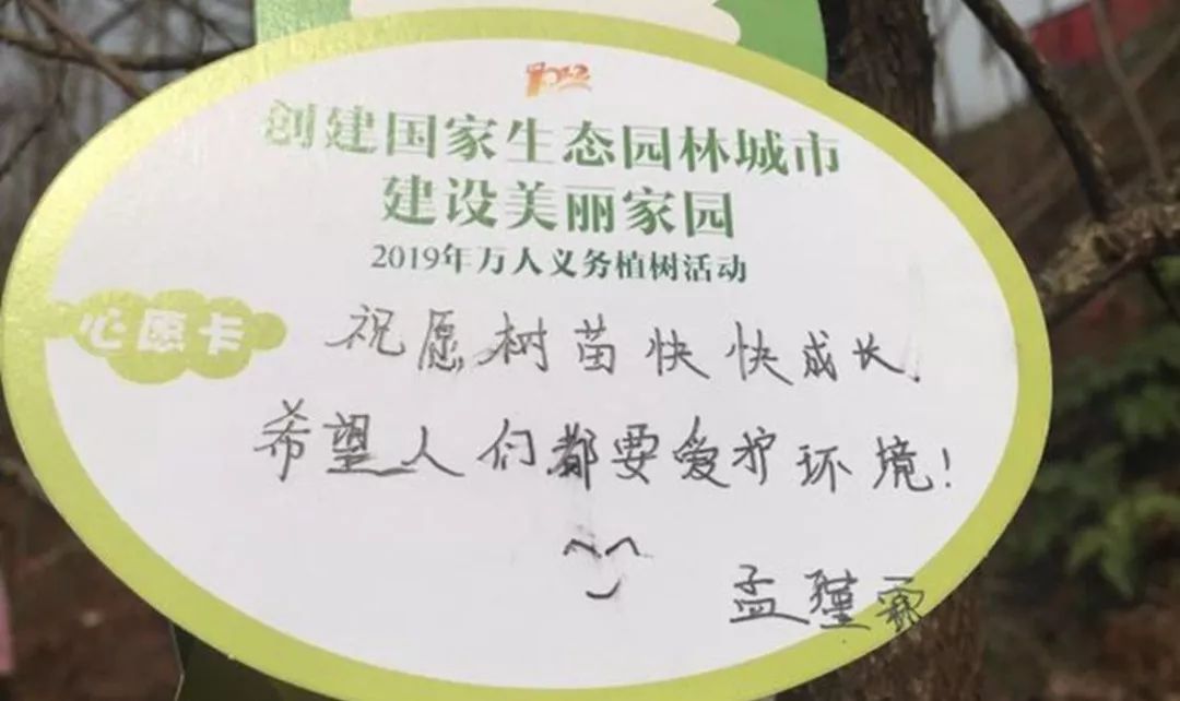 湘江边的植树活动接近尾声之际,同学们陆陆续续将自己的心愿卡填上