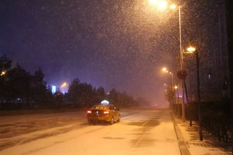 哈尔滨深夜飞起鹅毛大雪!