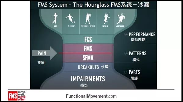 往疼痛评估方向发展则需选择sfma(如下图)