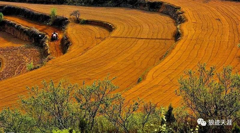 " 2019年3月13日 星期三 农历二月初七 唐代诗人韦应物在《观田家诗