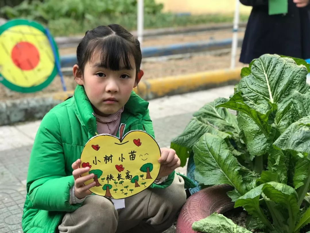 植树节:幼儿园里的"蚂蚁森林"