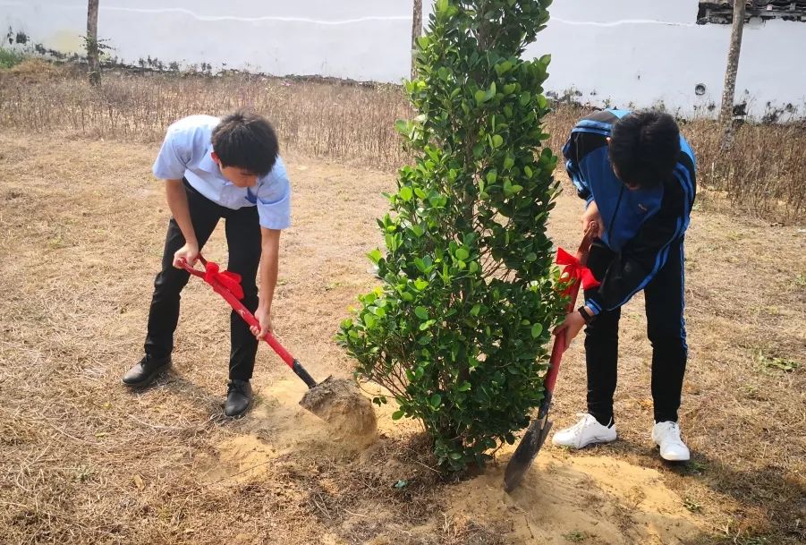 【节日特辑】植树节盛宴!大自然的fashion秀!