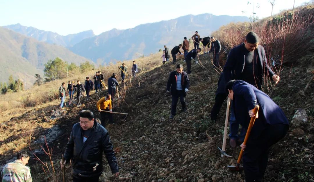 县城关中学好山好水 大美竹溪民众造林绣山川—植树节感怀颜家海全