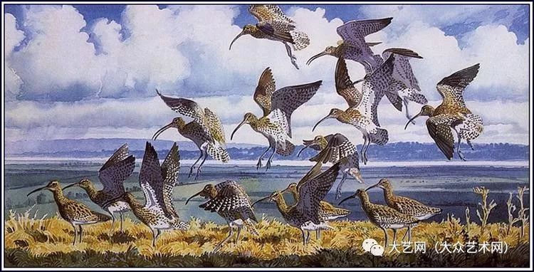 大众艺术网:国际知名自然主义画家 —— 英国花鸟画家