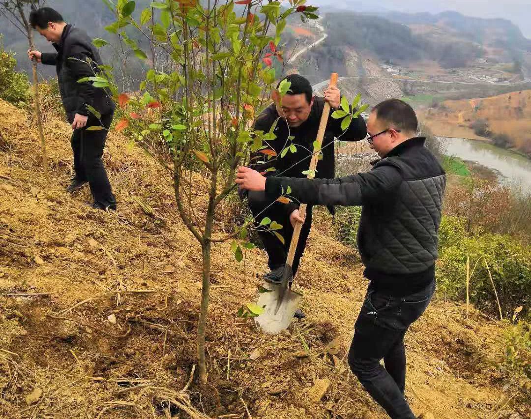 县城关中学好山好水 大美竹溪民众造林绣山川—植树节感怀颜家海全