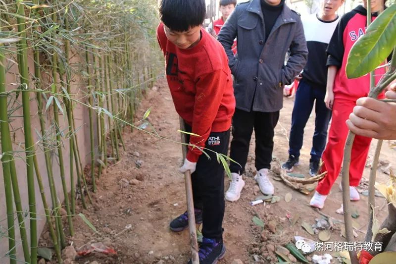 格瑞特国际学校植树节"护绿在行动"