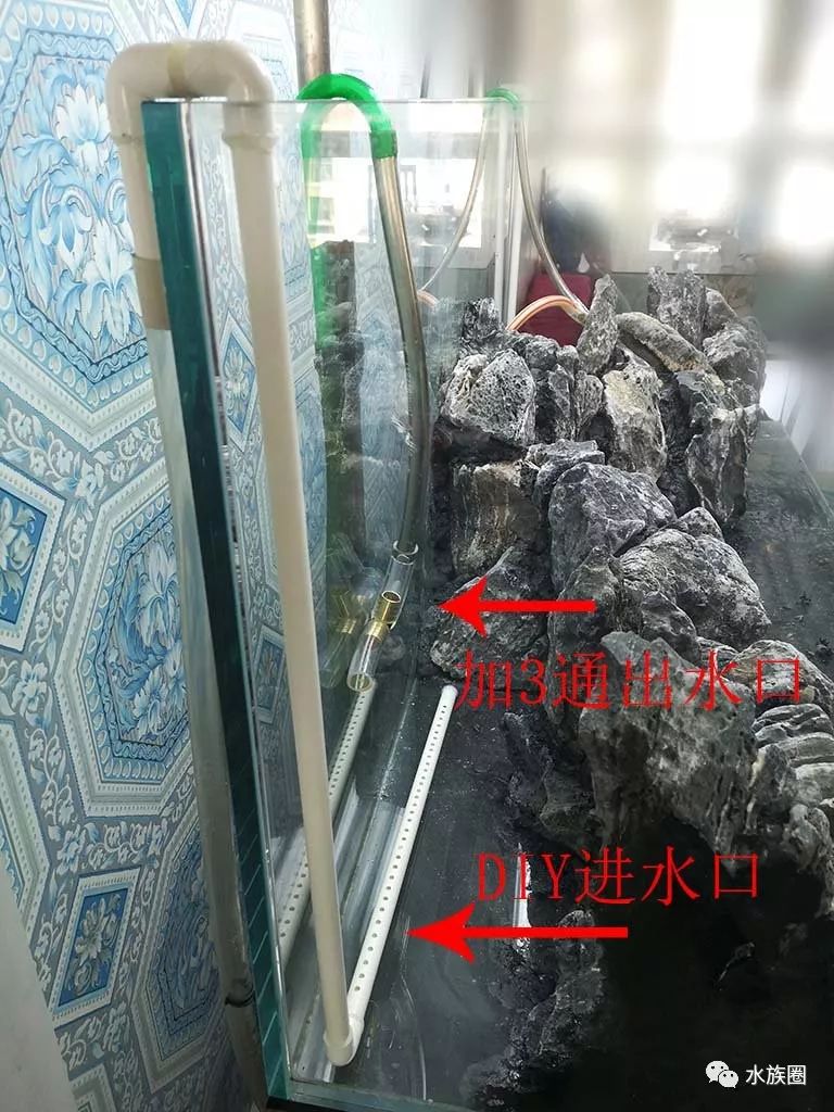 草缸玩腻了?150*60*60 大型水陆缸建缸过程.