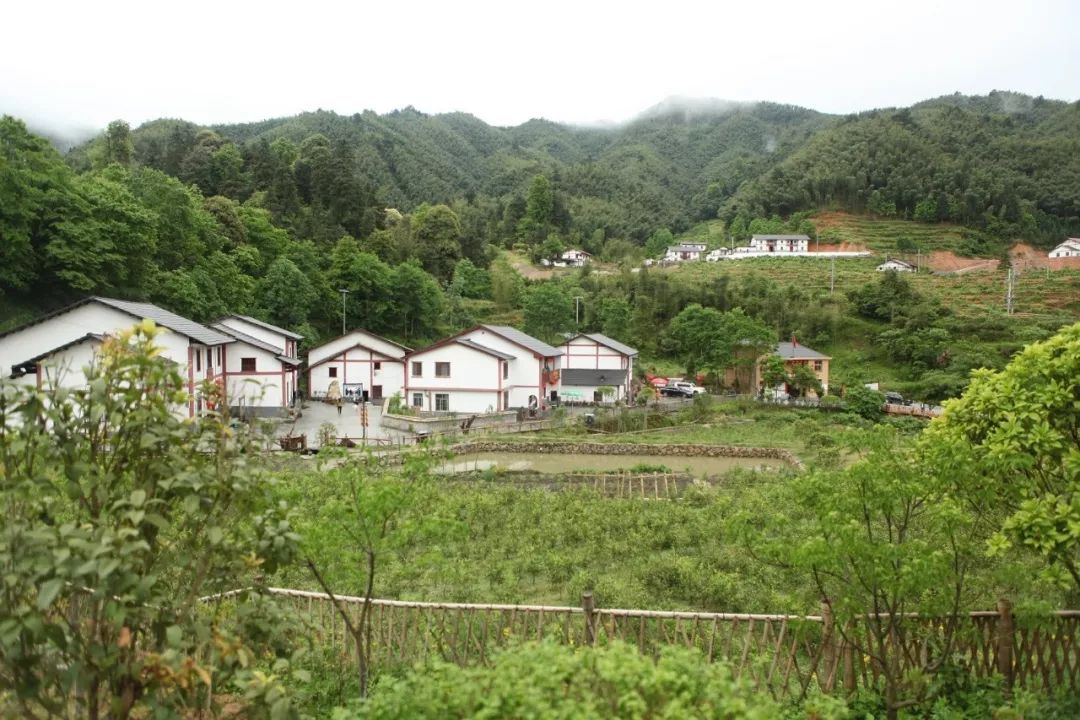 井冈山神山村乡村公路项目