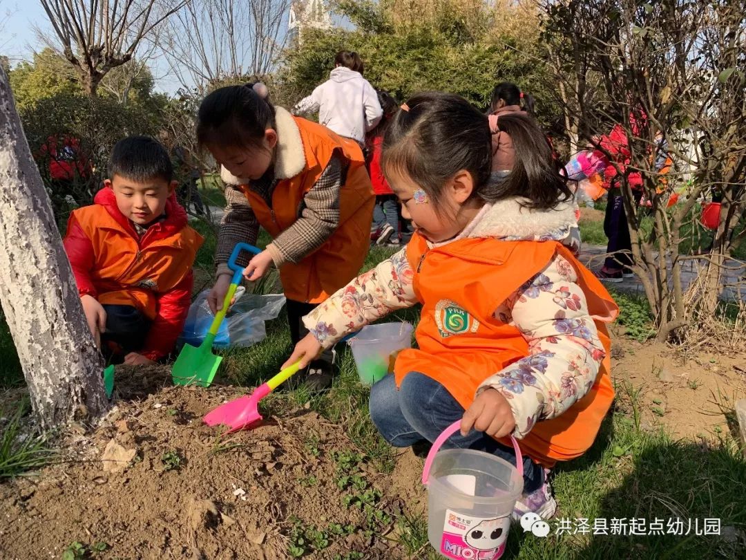 在老师的带领下,小朋友们带起小铲子,给小树进行护理,松松土,捡去它