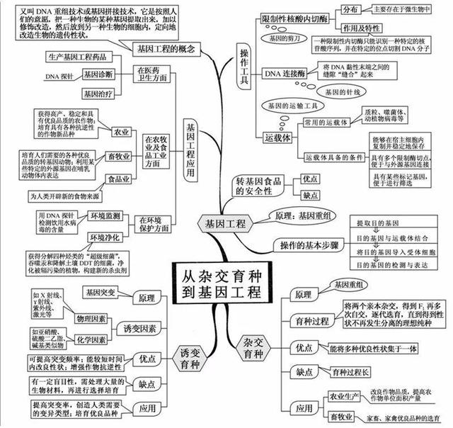 生物状元:高中重点知识,20张思维导图,基础再差也上80