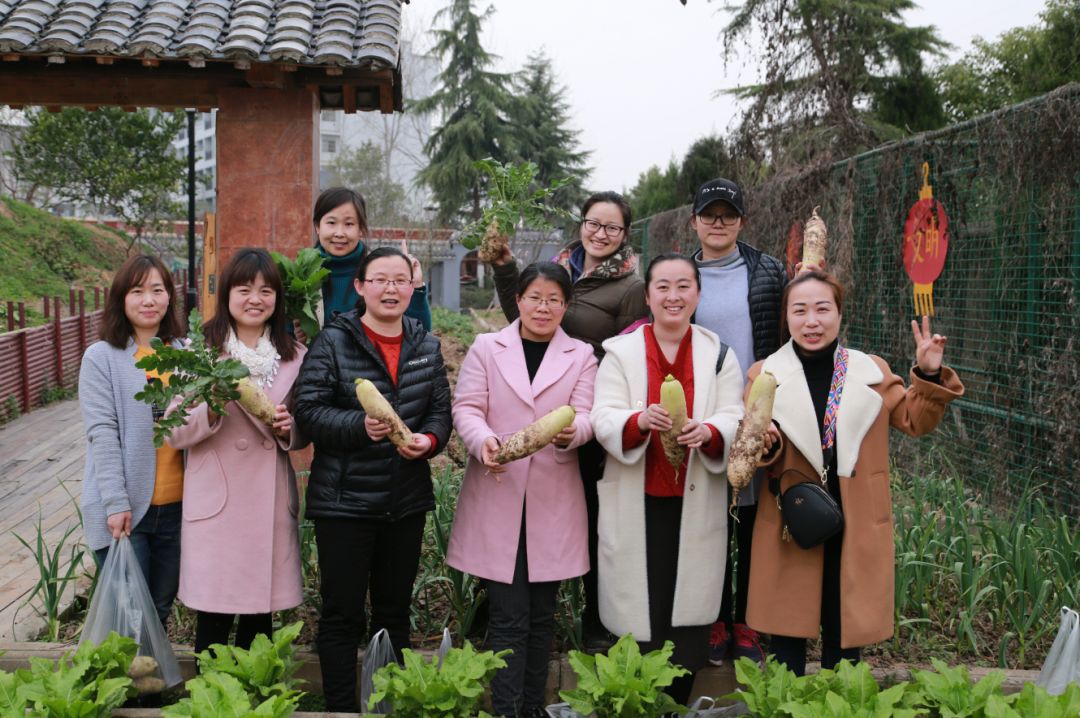 生院女神们采摘有机蔬菜,共享生态成果