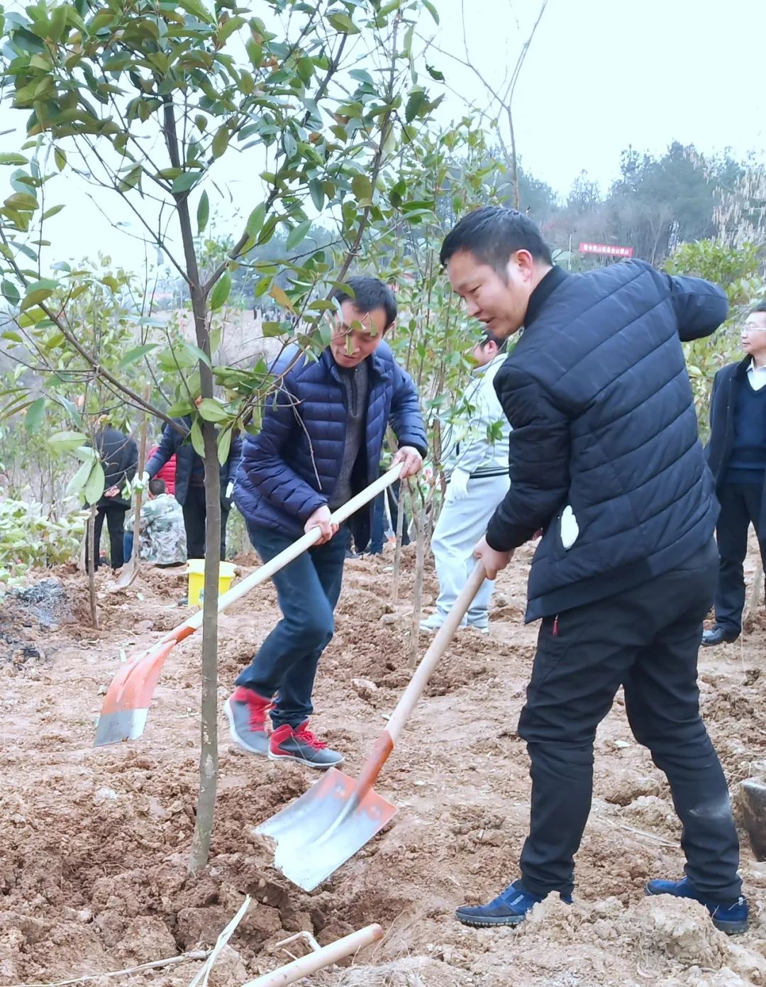 县城关中学好山好水 大美竹溪民众造林绣山川—植树节感怀颜家海全