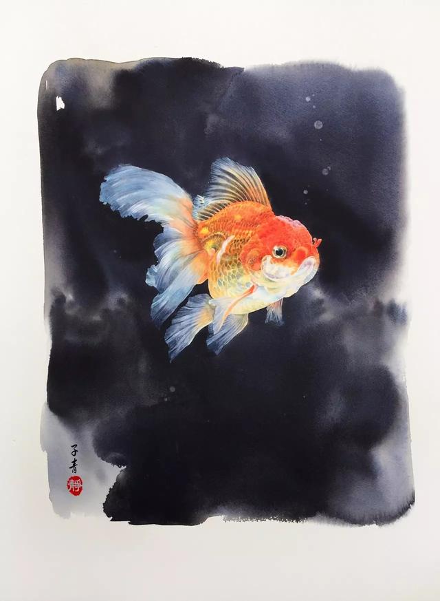 金鱼写实手绘