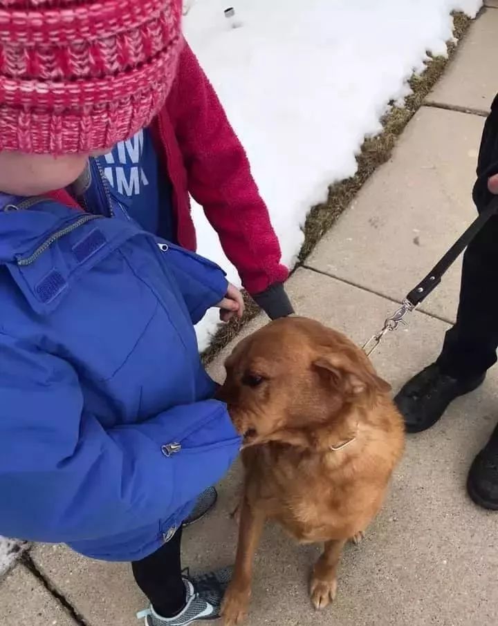 40只警犬悄咪咪的守在门口，只因为这个小女孩说她想看狗