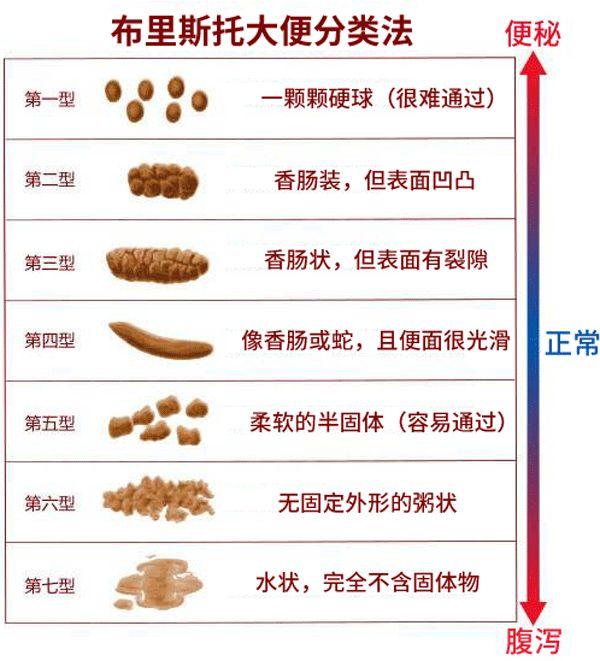 凭经验我们也能知道, 最理想的大便形状应该是第四型,第三型和第五型