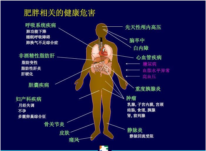 肥胖可能引起的疾病(部分)