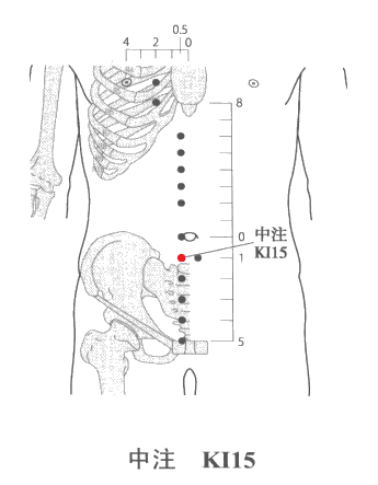 冲脉---中注穴