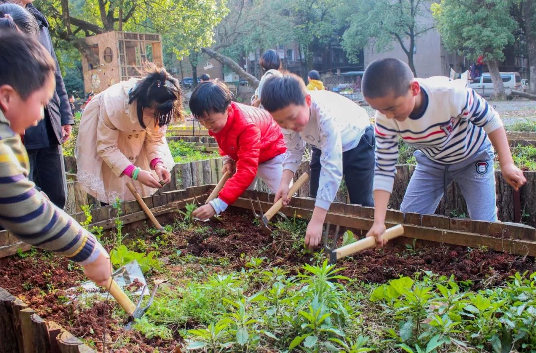 (图:小朋友们正在除杂草,翻土)