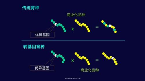 【视频】为什么中国人最不该反转基因