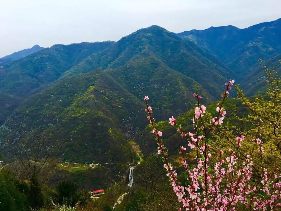 【卢氏美景】泡温泉,摘草莓,游古村.整个春天都有好玩的等你来嗨!