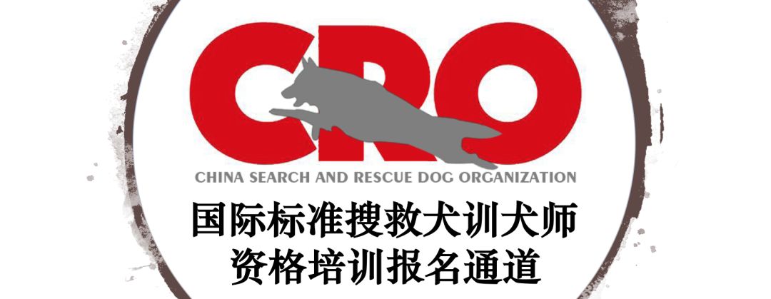 国际标准搜救犬训犬师资格培训正式开课