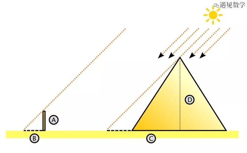 科学和哲学之祖泰勒斯