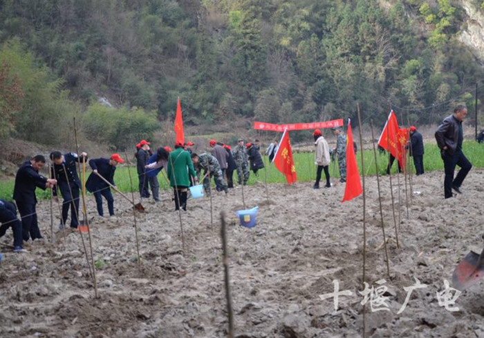 竹山县双台乡:植树造林增绿 共建大美双台