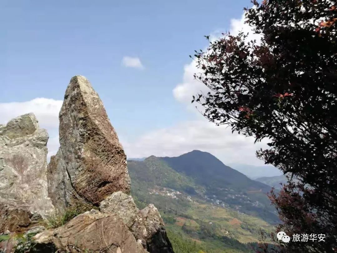 拭目以待 | 华安又一景区即将开放!_麒麟山