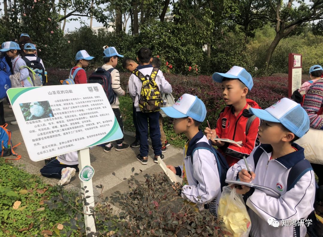 自然为师万物为友丨2019里水小学研学旅行活动二