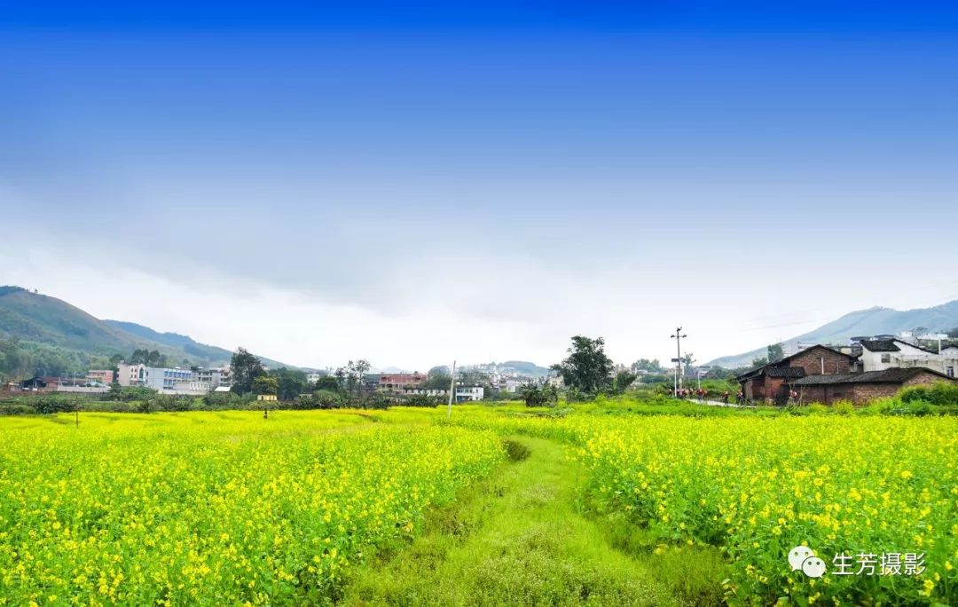 醉美乡村--花坪镇乌石冲村._浈江区