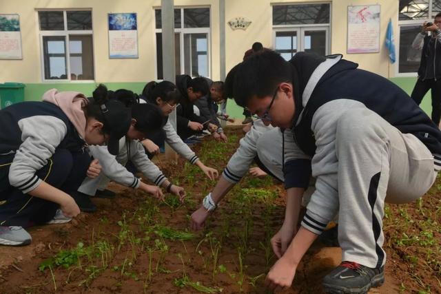 和29位老师来到位于即墨区金口镇山阴村的青岛市中学生学农实践基地