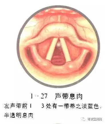 耳鼻喉科疾病图谱一喉部疾病