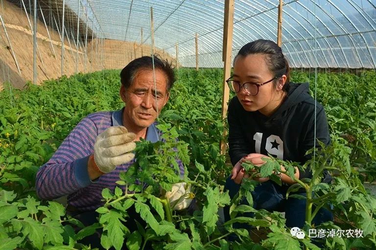 农业专家指导农户种植