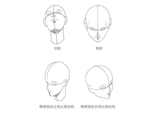 漫画人物的头怎么画  漫画人物头部绘画学习教程