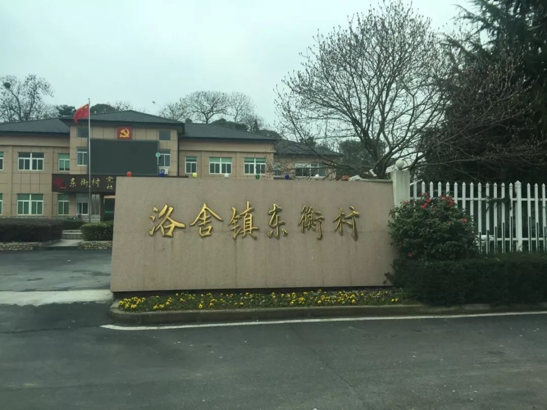 临平诗社,塘栖诗社,仁和诗社组团赴湖州市德清县洛舍镇东衡村访问