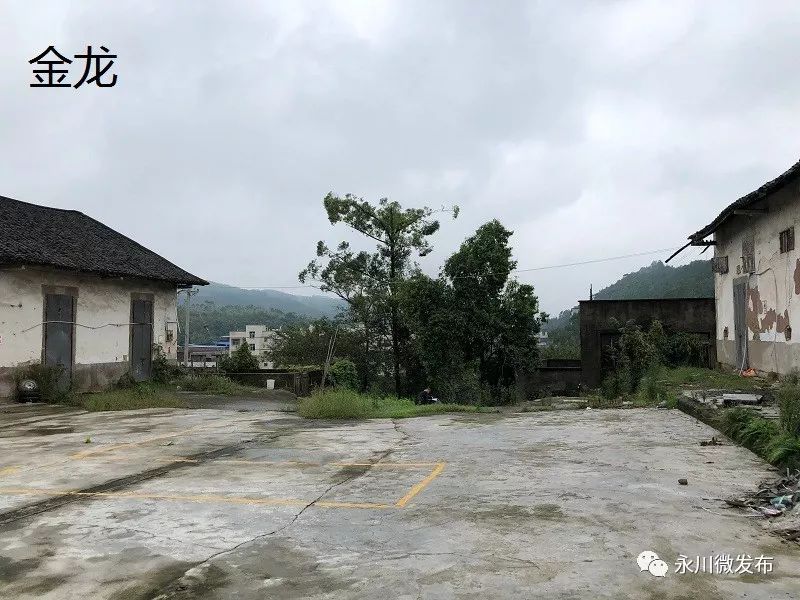 地址 房屋建筑面积㎡ 挂牌价(万元) 房屋用途 重庆市永川区三教镇南华