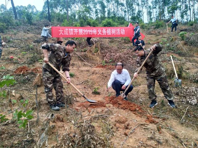 浦北县大成镇:开展种植活动 助力乡村振兴