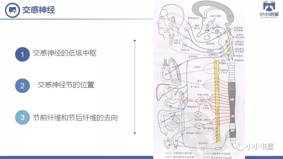 小小讲堂交感神经型颈椎病一