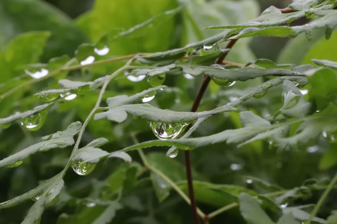 我在师大,遇见晴与雨