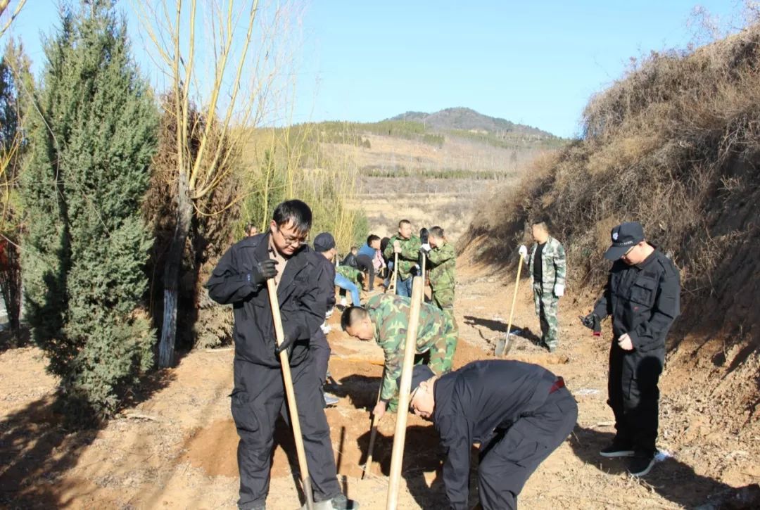 大东沟镇:干群义务植树添新绿